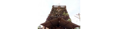 100. திருத்துருத்தி